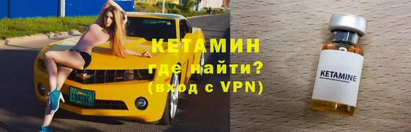 амф Дмитриев