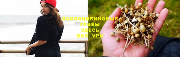 марки lsd Армянск